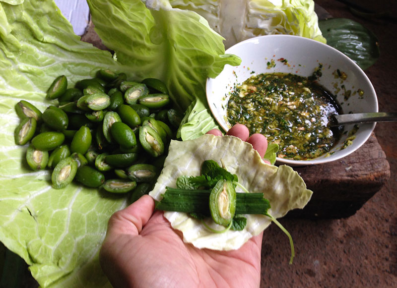 Bắp cải cuốn nhót- món ăn độc đáo của người Thái ở Mộc Châu